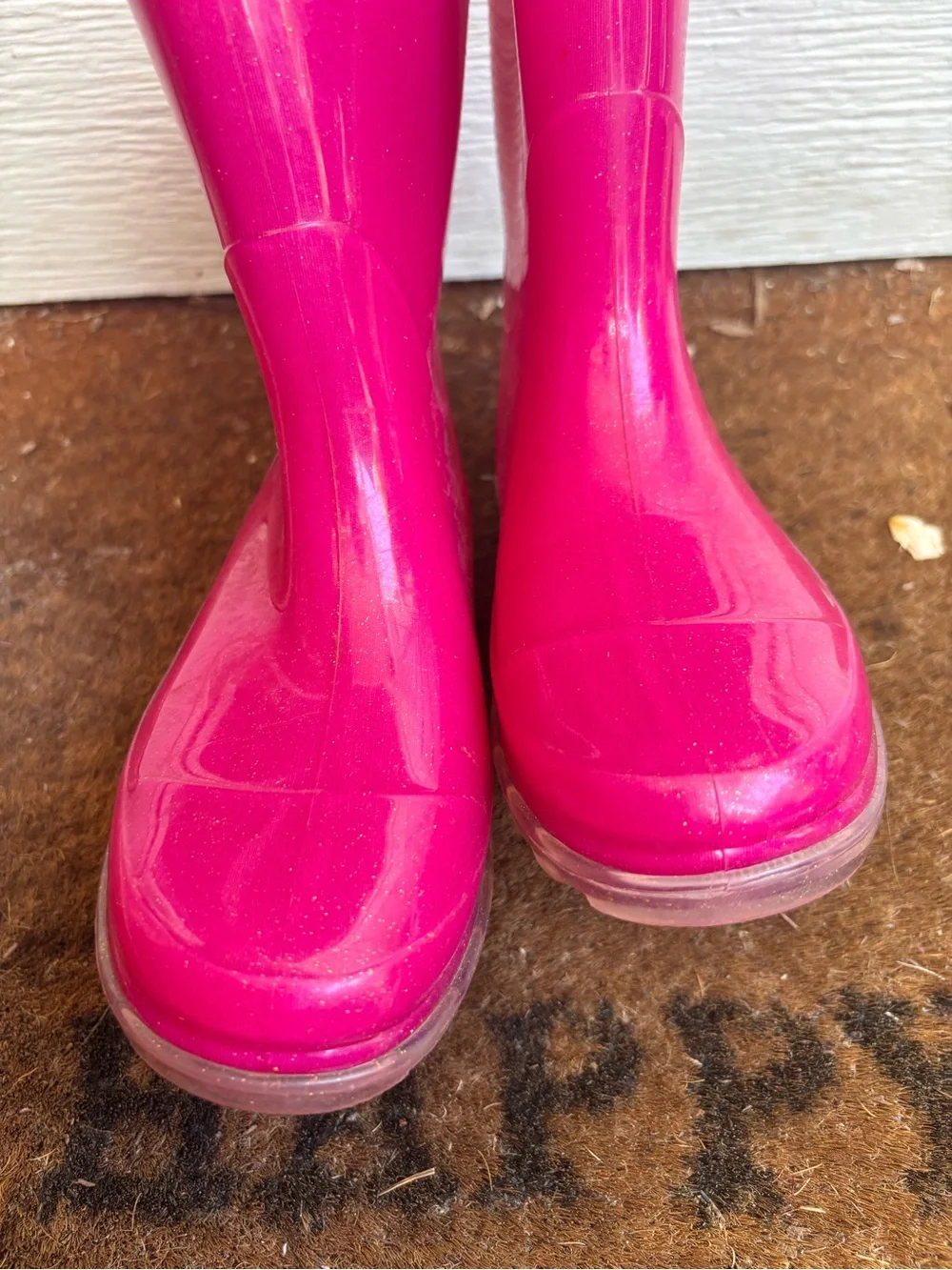 Western Chief Pink Rainboots